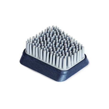 Brosse Cuir Frankfurt Iflex